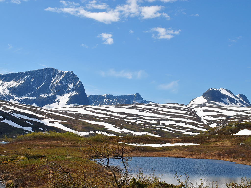 Trollheimen natur